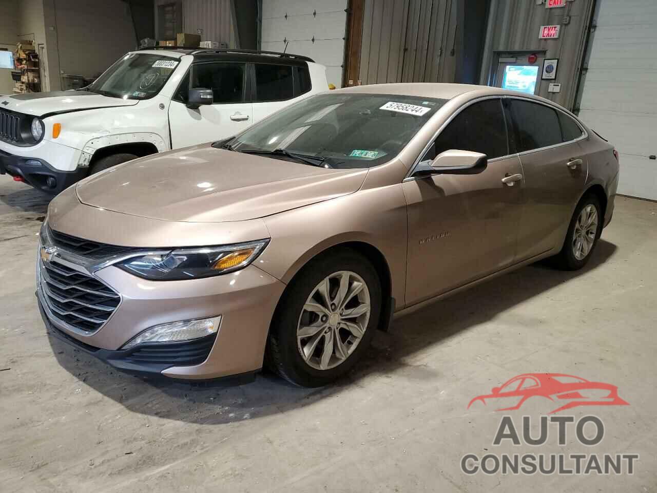 CHEVROLET MALIBU 2019 - 1G1ZD5ST1KF124917