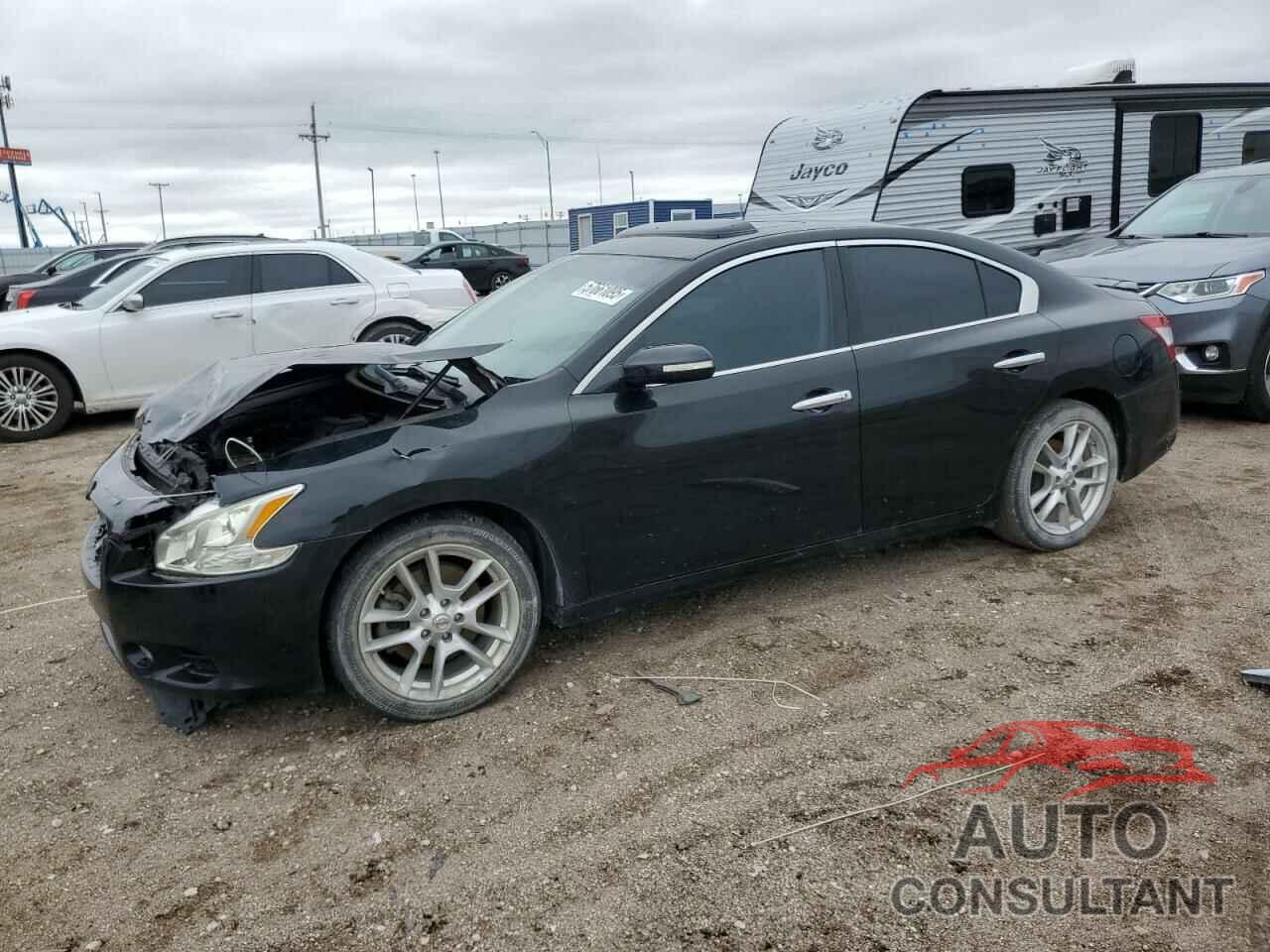 NISSAN MAXIMA 2011 - 1N4AA5APXBC862711