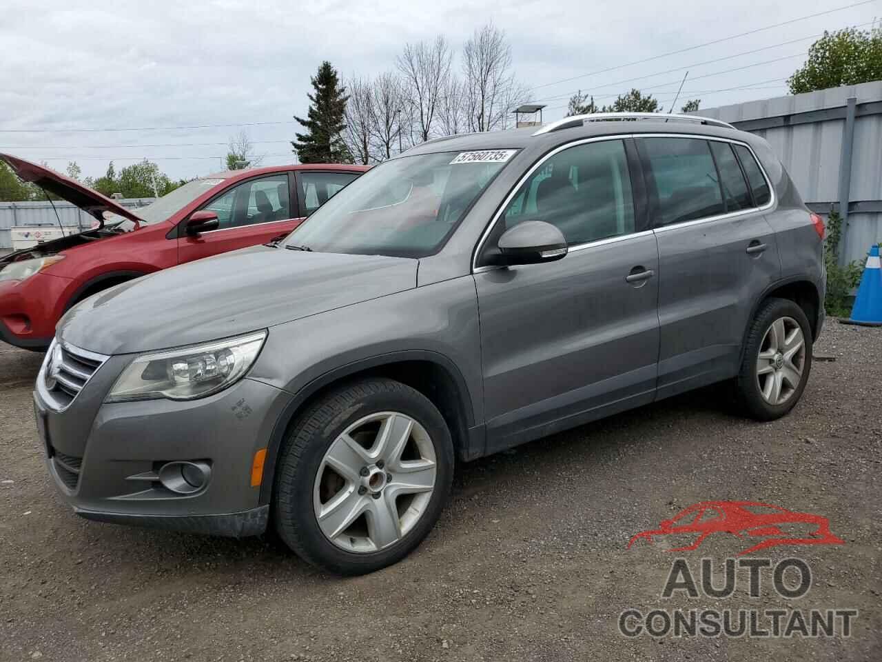 VOLKSWAGEN TIGUAN 2010 - WVGBV7AX3AW509380