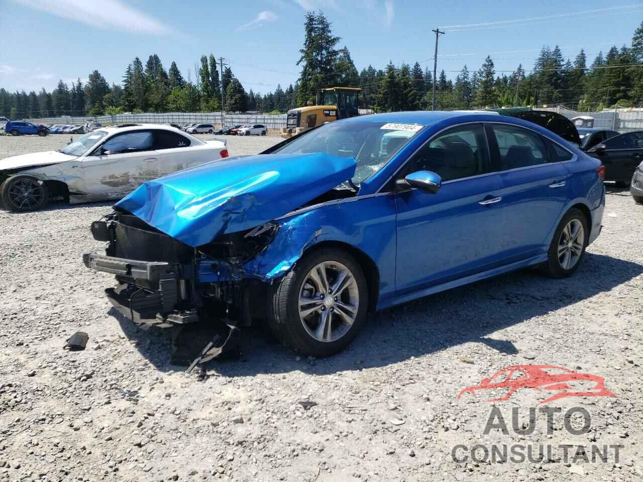 HYUNDAI SONATA 2019 - 5NPE34AF7KH782892