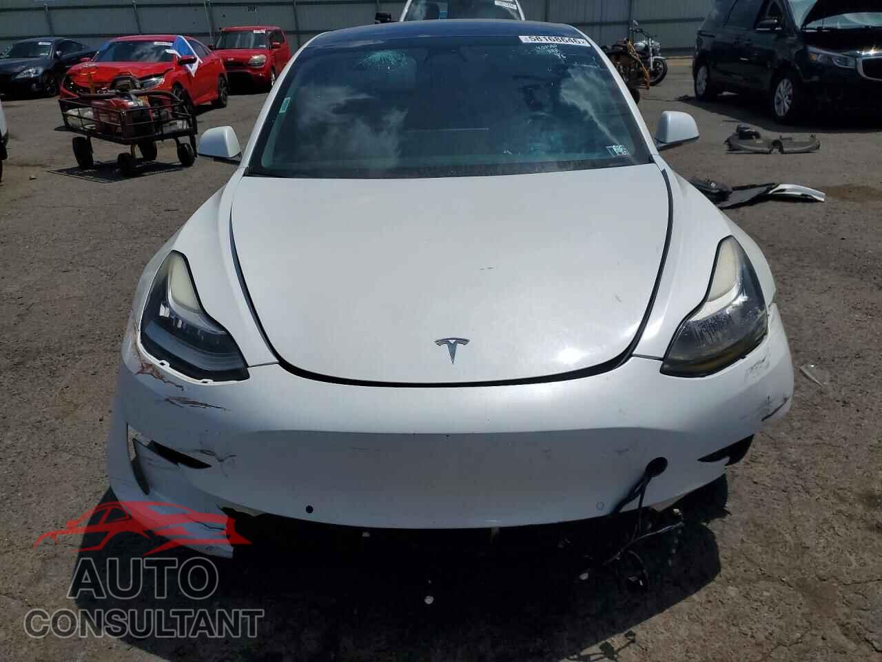 TESLA MODEL 3 2019 - 5YJ3E1EA1KF401390