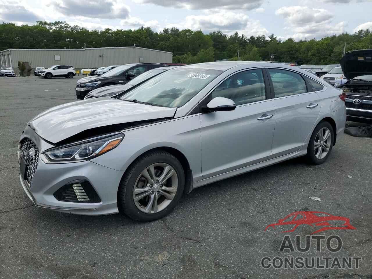 HYUNDAI SONATA 2019 - 5NPE34AFXKH804710
