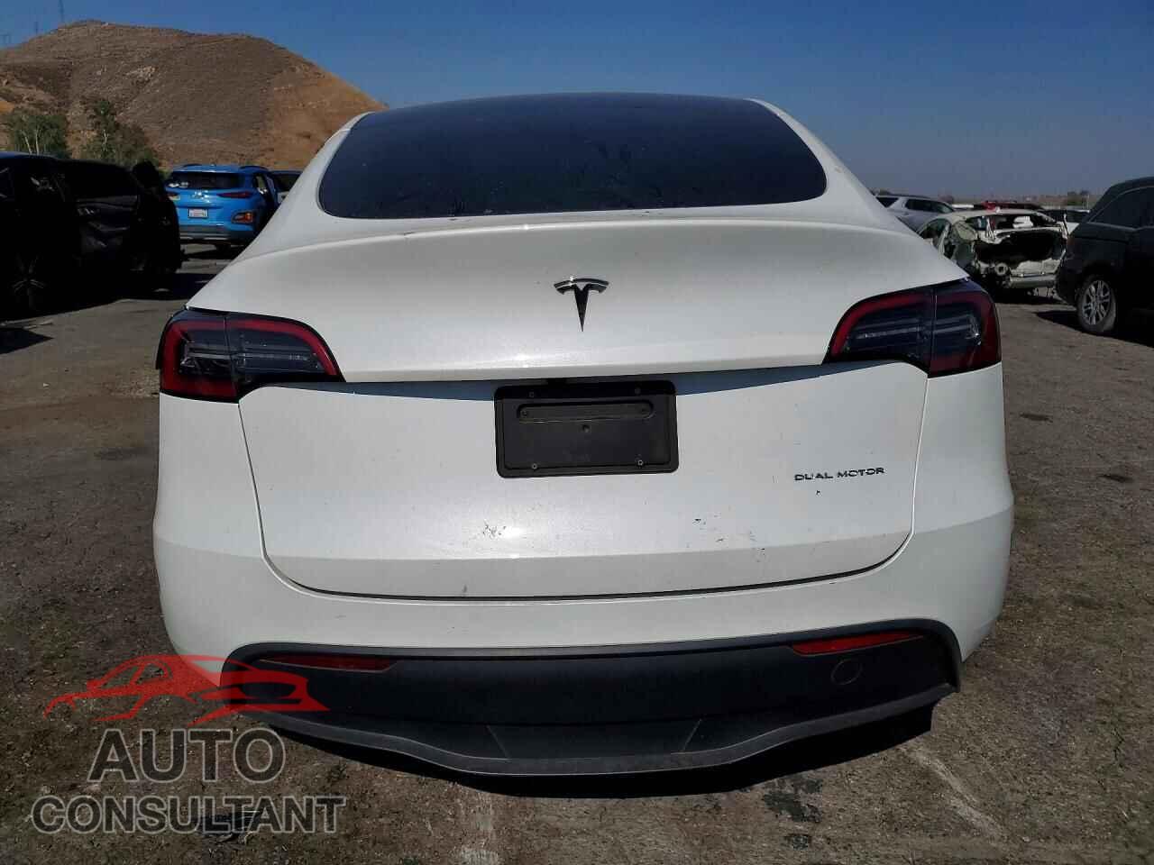 TESLA MODEL Y 2024 - 7SAYGAEE4RF048305
