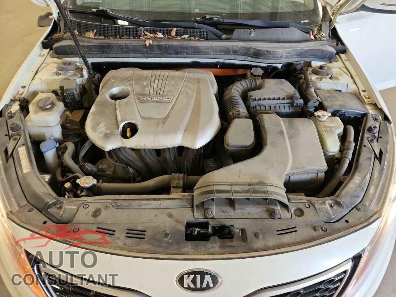 KIA OPTIMA 2012 - KNAGM4AD9C5022451