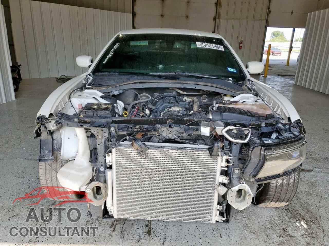 DODGE CHARGER 2021 - 2C3CDXCT3MH601974