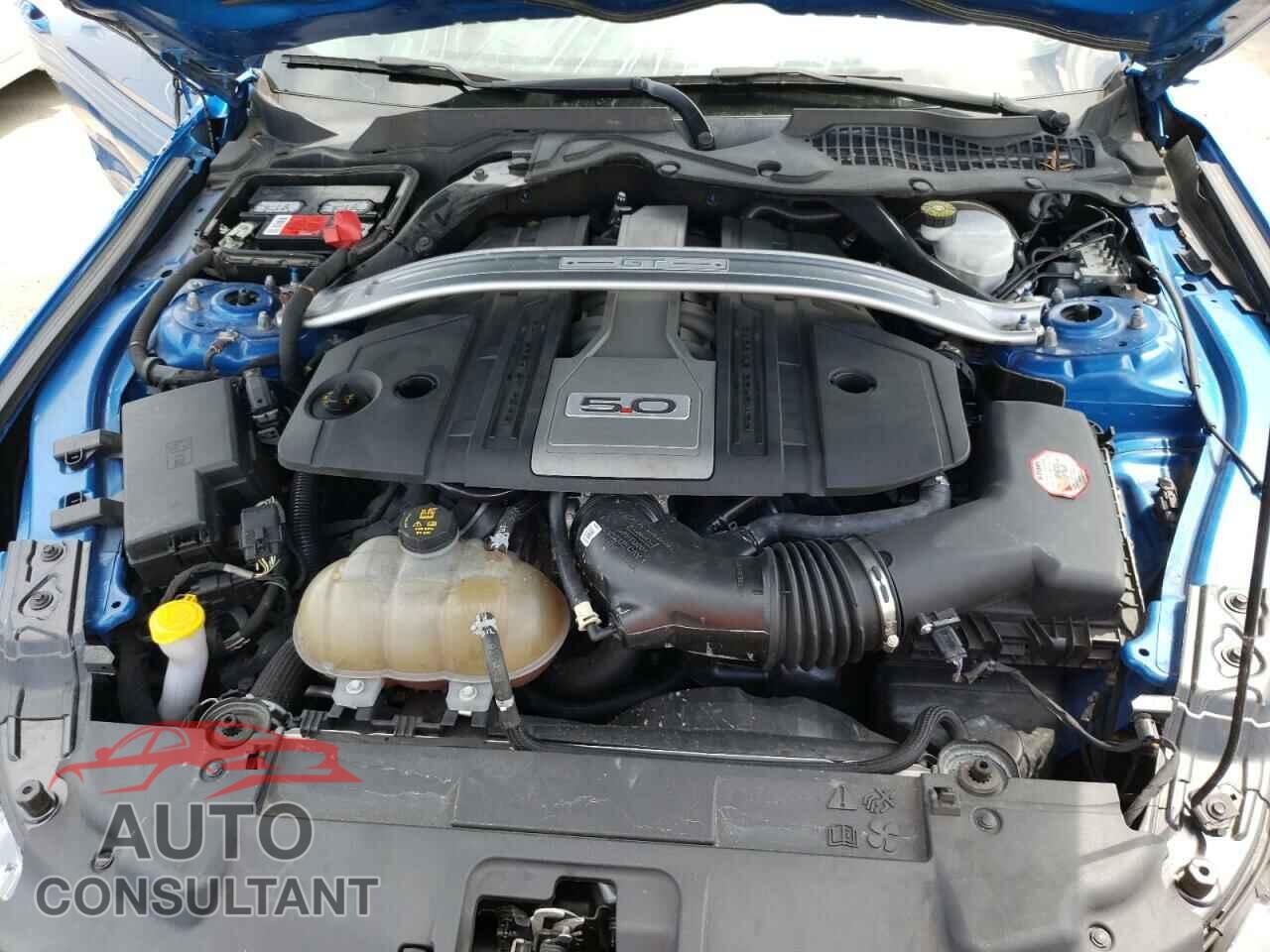 FORD MUSTANG 2019 - 1FA6P8CF8K5114814