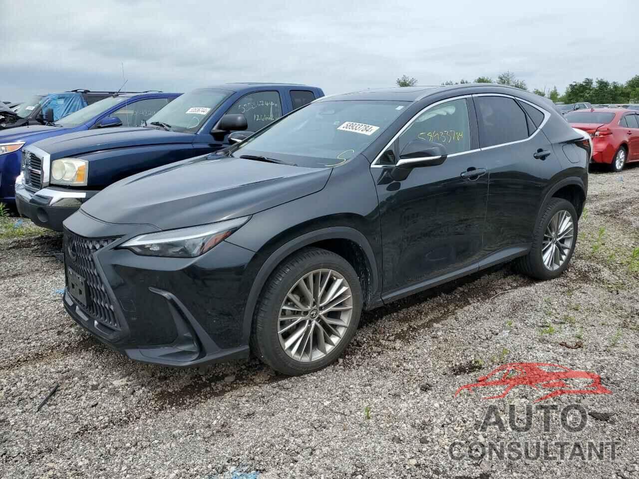 LEXUS NX 350 2022 - JTJGGCEZ5N2001950