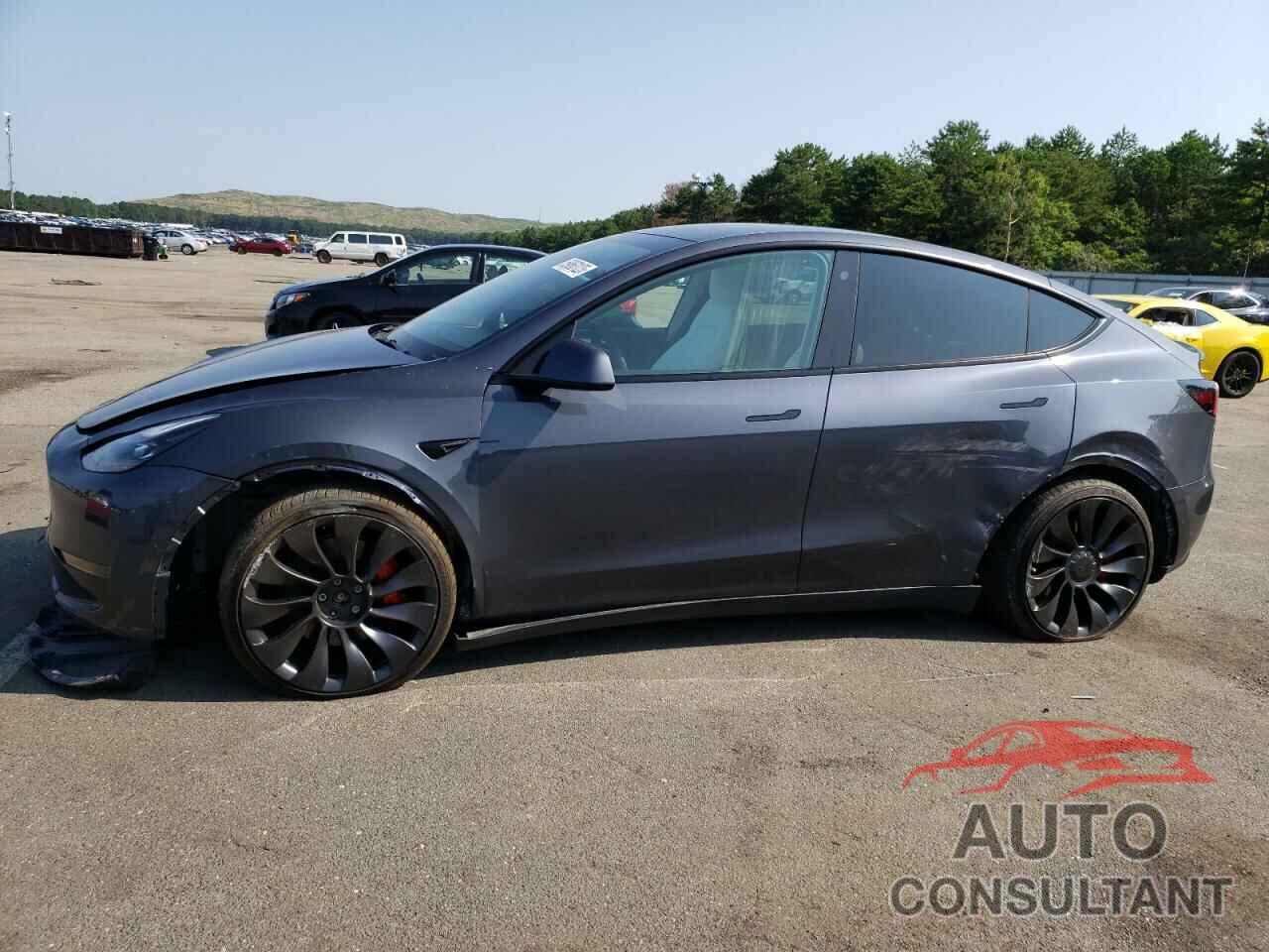 TESLA MODEL Y 2022 - 7SAYGDEF9NF553910