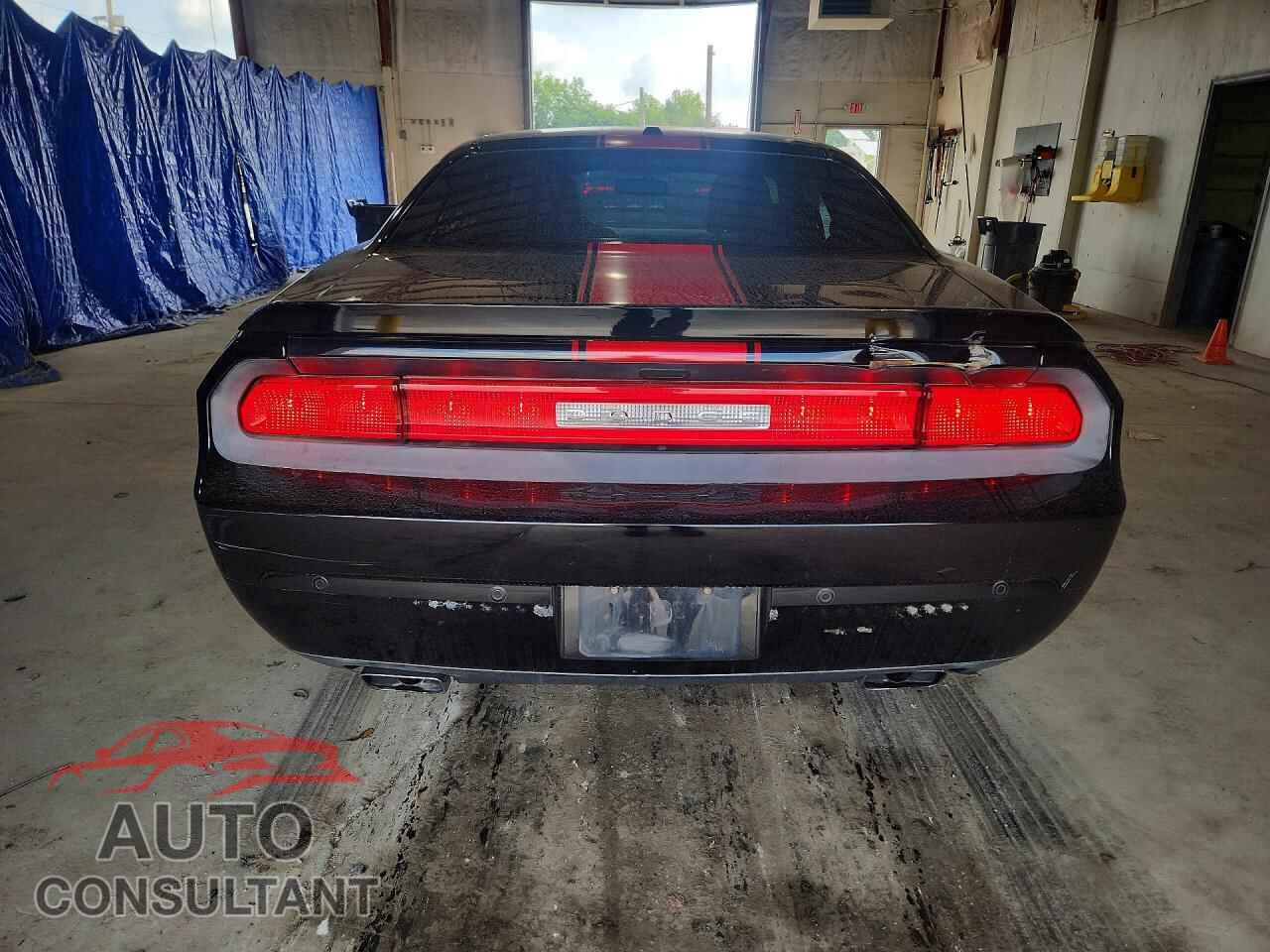 DODGE CHALLENGER 2013 - 2C3CDYAG8DH501560