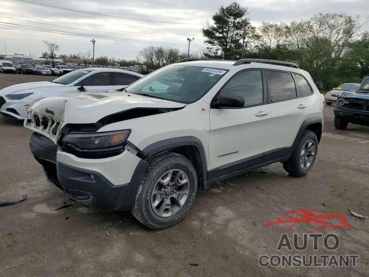 JEEP CHEROKEE 2019 - 1C4PJMBX2KD314077