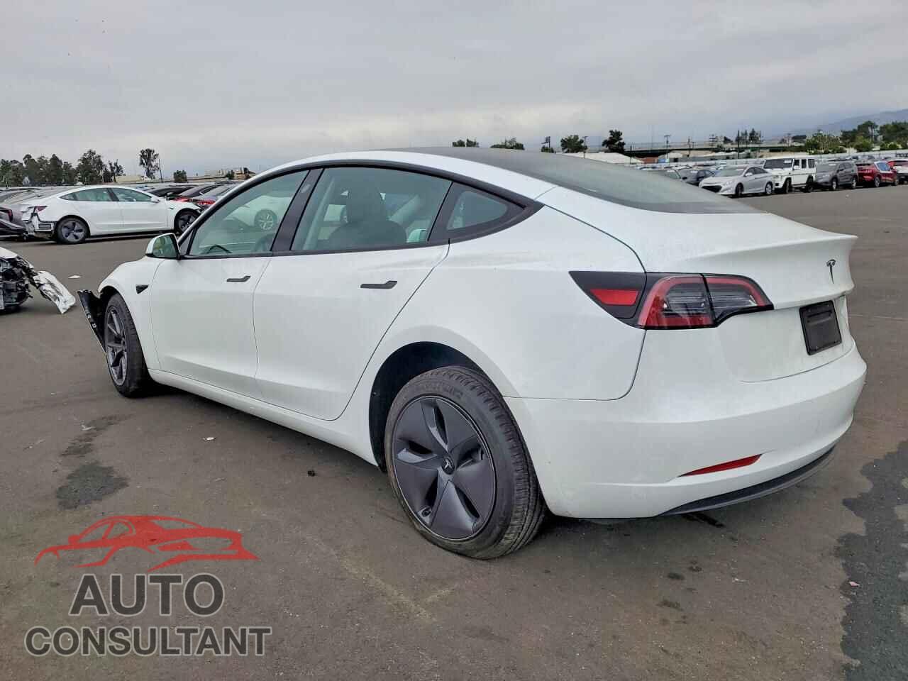 TESLA MODEL 3 2023 - 5YJ3E1EA1PF580862