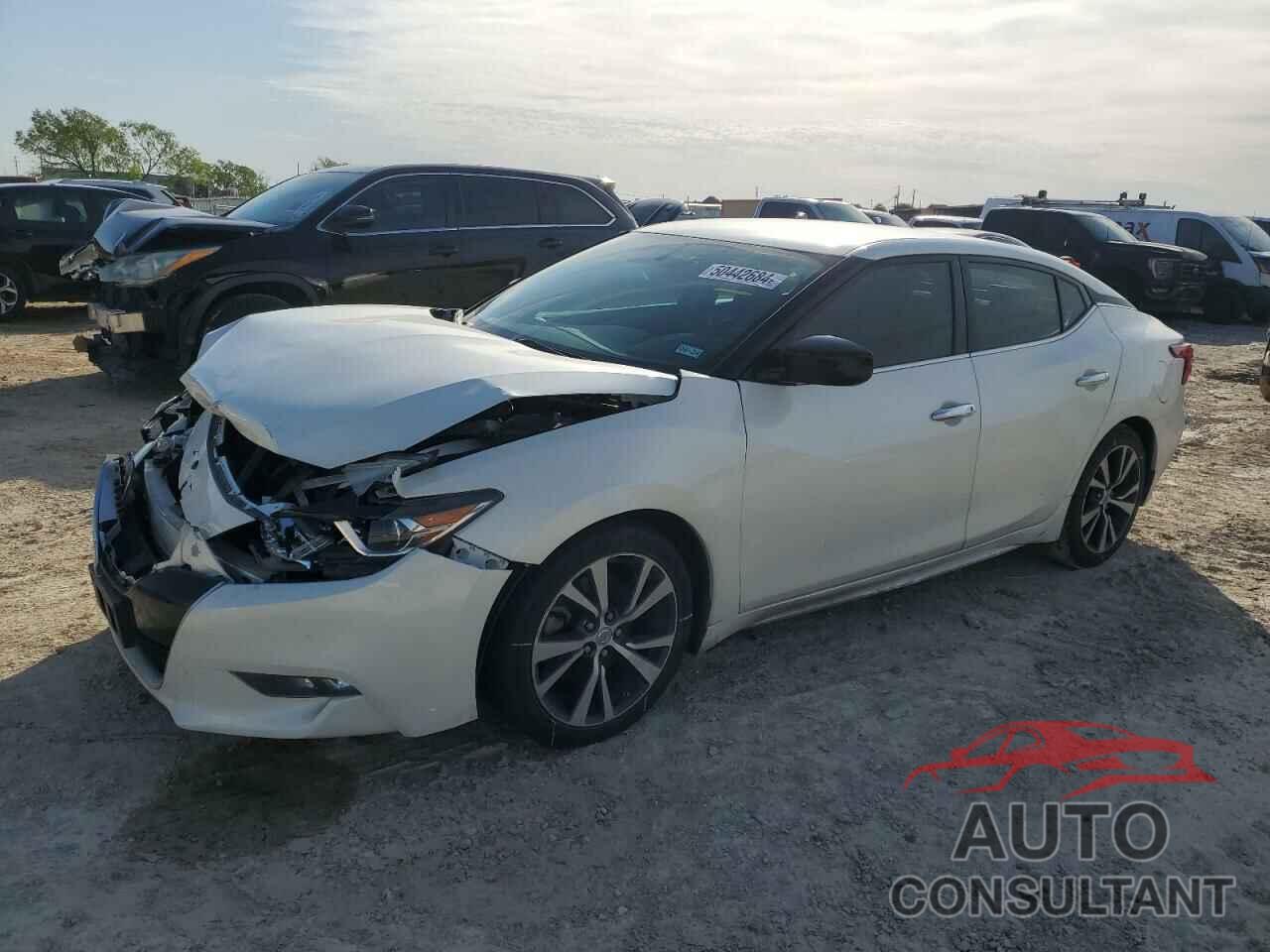 NISSAN MAXIMA 2017 - 1N4AA6AP7HC434769