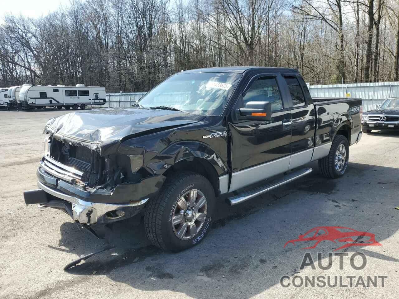FORD F-150 2012 - 1FTFX1EF3CFC15382