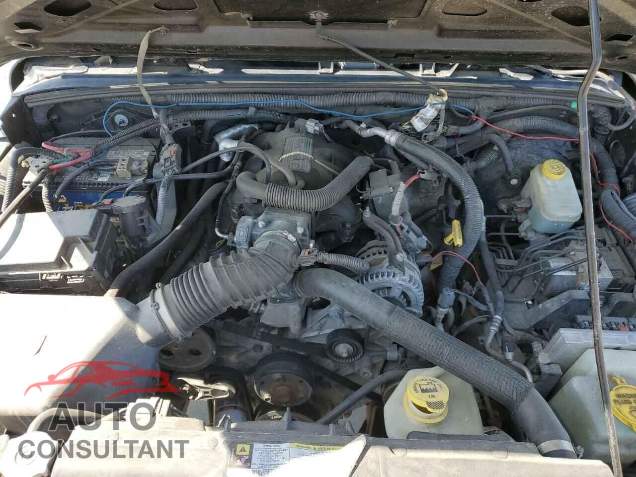 JEEP WRANGLER 2009 - 1J4FA24139L730383