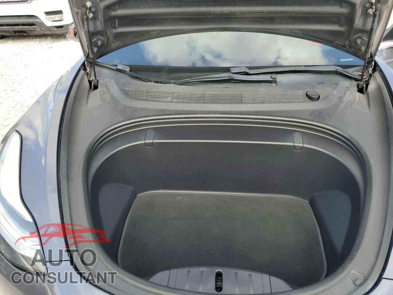 TESLA MODEL 3 2019 - 5YJ3E1EB2KF393860