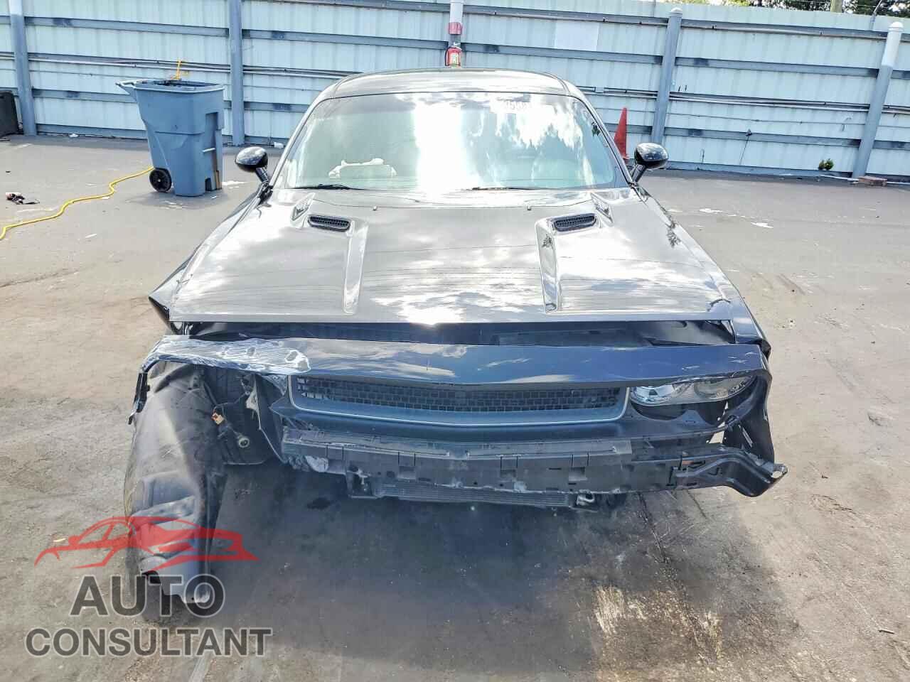 DODGE CHALLENGER 2014 - 2C3CDYBT0EH205400