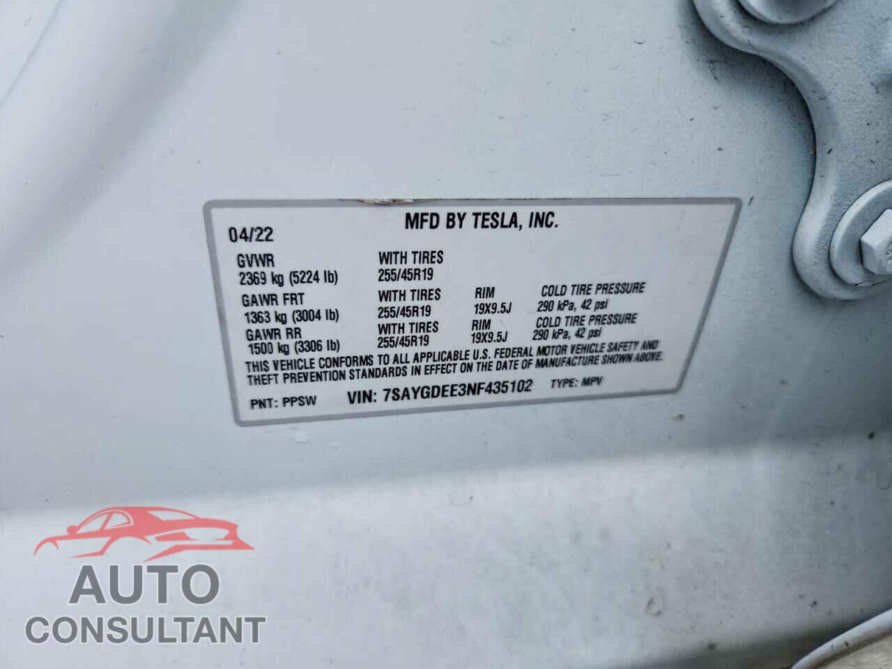 TESLA MODEL Y 2022 - 7SAYGDEE3NF435102