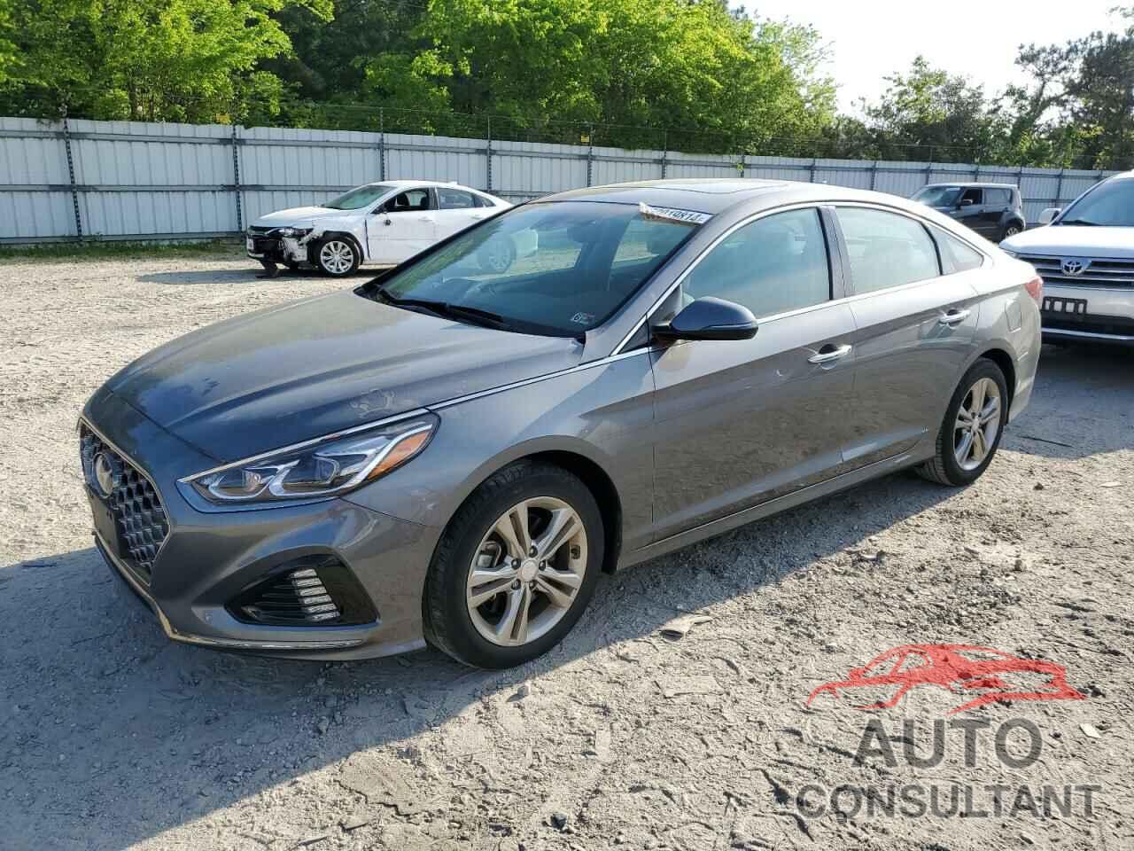 HYUNDAI SONATA 2019 - 5NPE34AF5KH769834