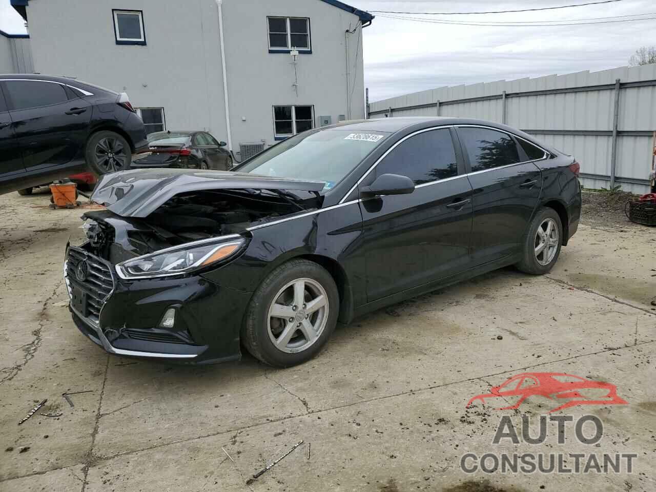 HYUNDAI SONATA 2019 - 5NPE24AFXKH796756
