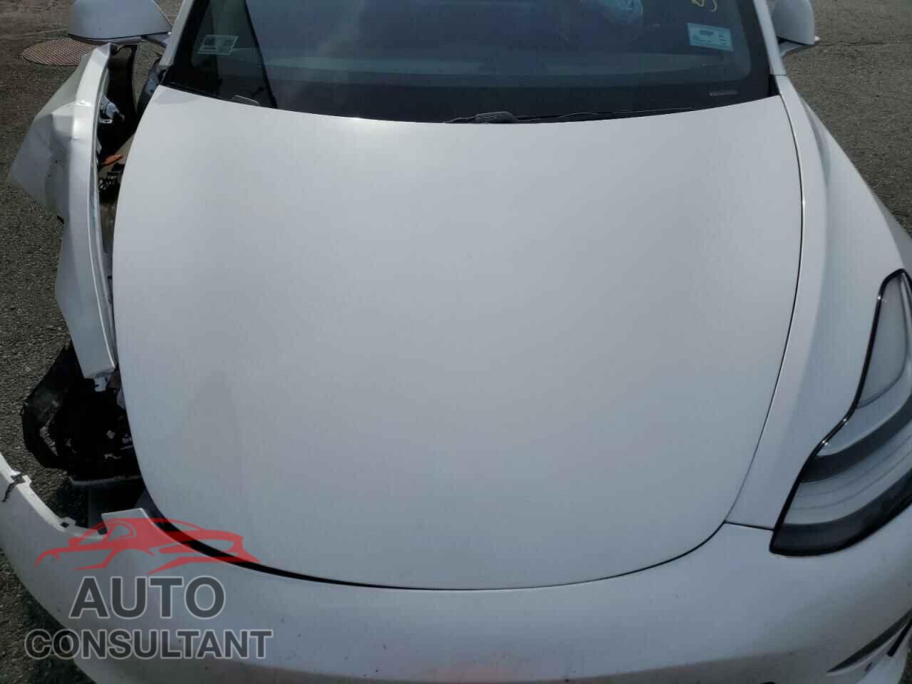 TESLA MODEL 3 2019 - 5YJ3E1EA9KF314059