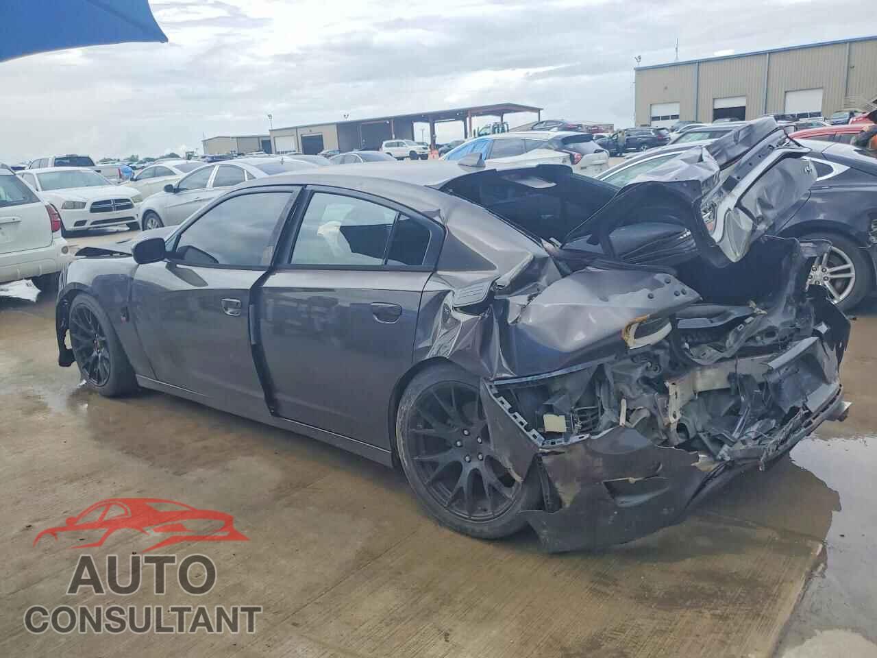 DODGE CHARGER 2015 - 2C3CDXCT4FH730499