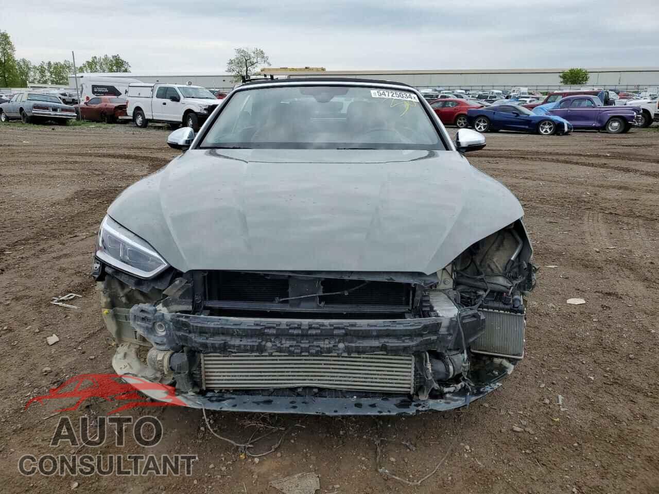 AUDI S5/RS5 2019 - WAU24GF53KN007746