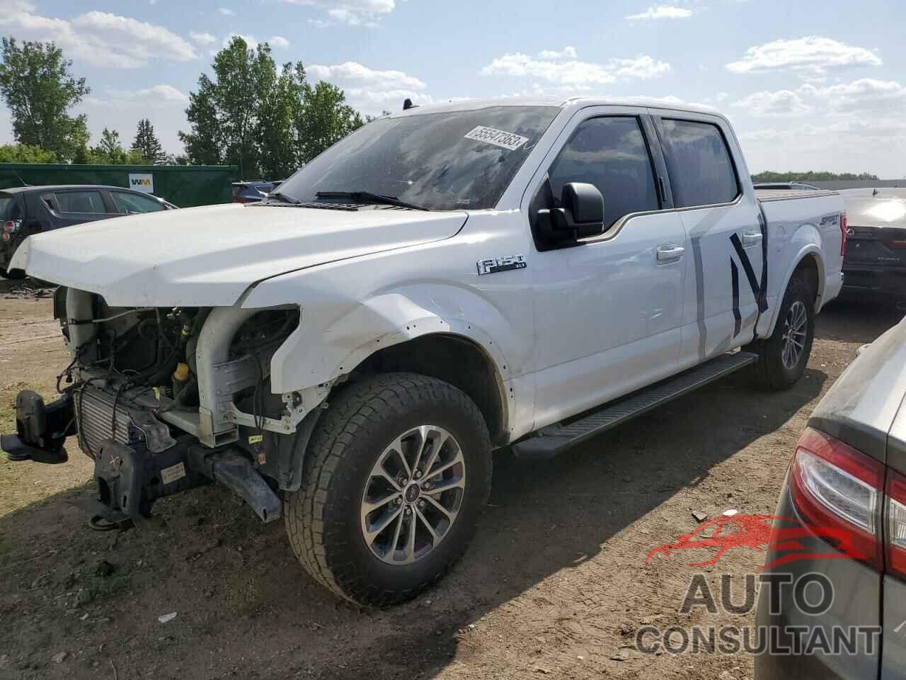 FORD F-150 2020 - 1FTEW1EP5LFB86541