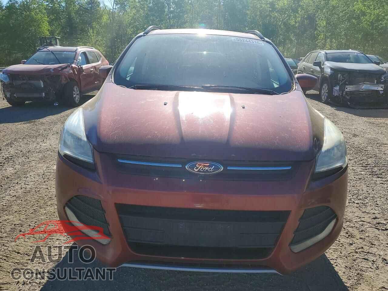 FORD ESCAPE 2014 - 1FMCU9GXXEUD82526