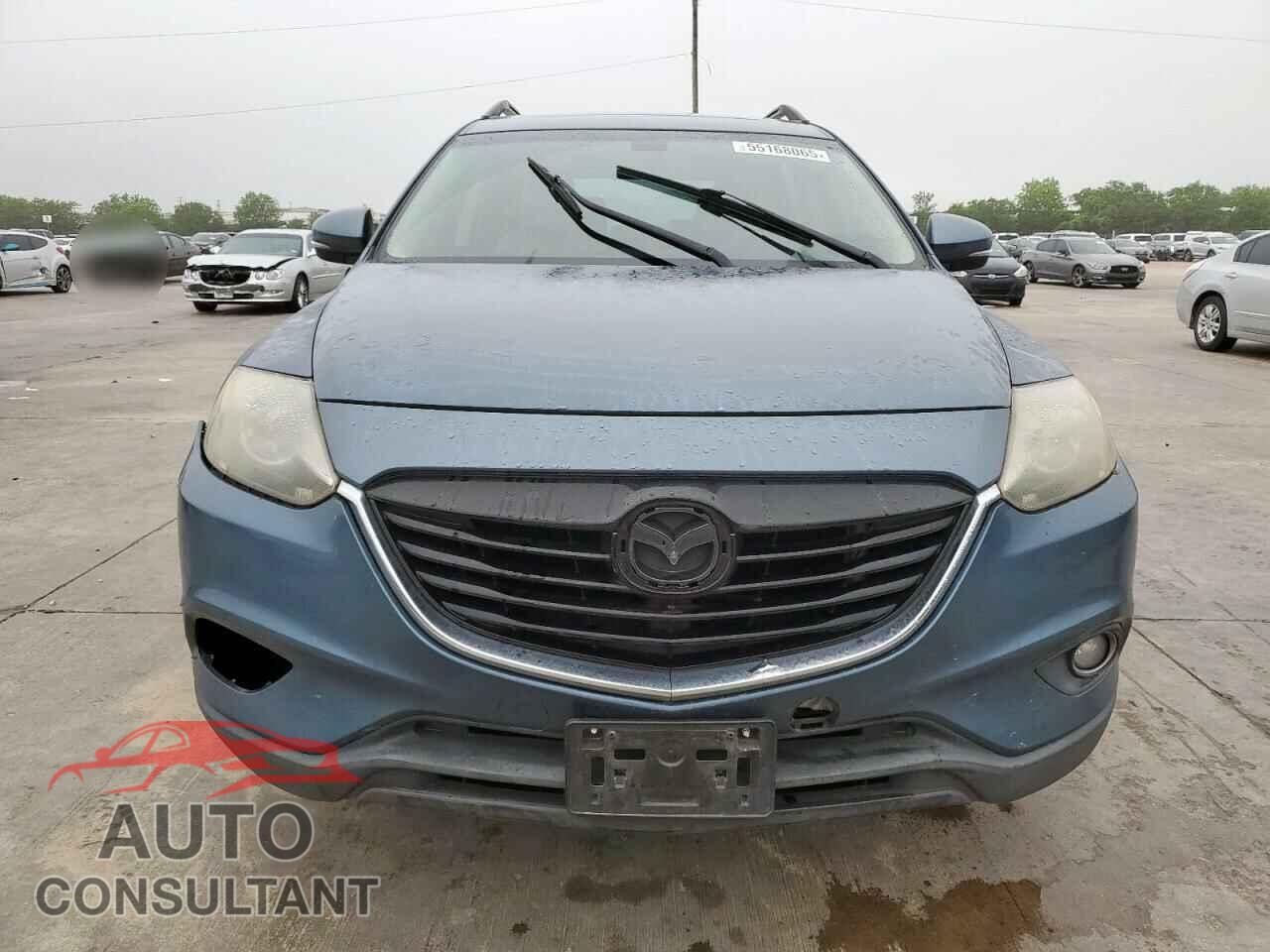 MAZDA CX-9 2014 - JM3TB2DA8E0433389