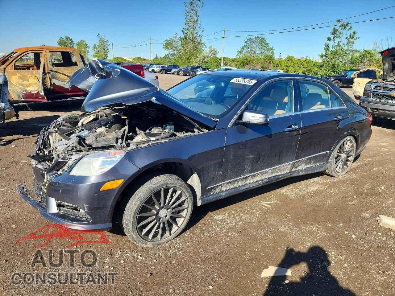 MERCEDES-BENZ E-CLASS 2012 - WDDHF9BB4CA655528