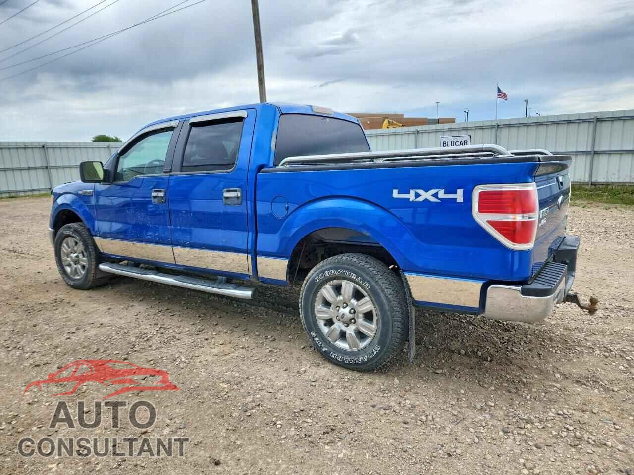 FORD F150 2010 - 1FTFW1EV3AFB59659