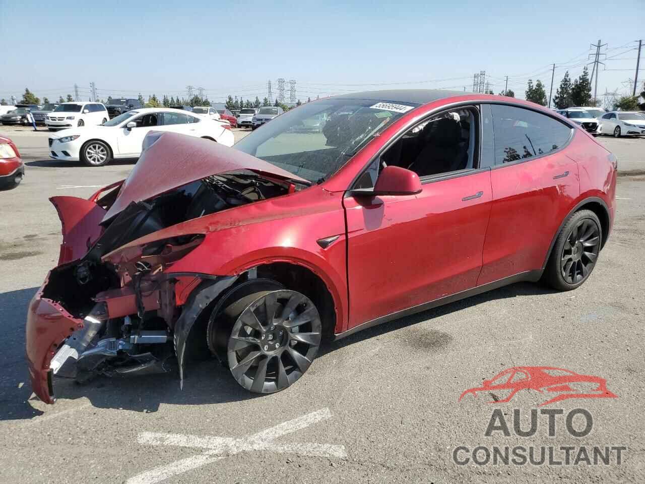 TESLA MODEL Y 2024 - 7SAYGDEEXRA230945