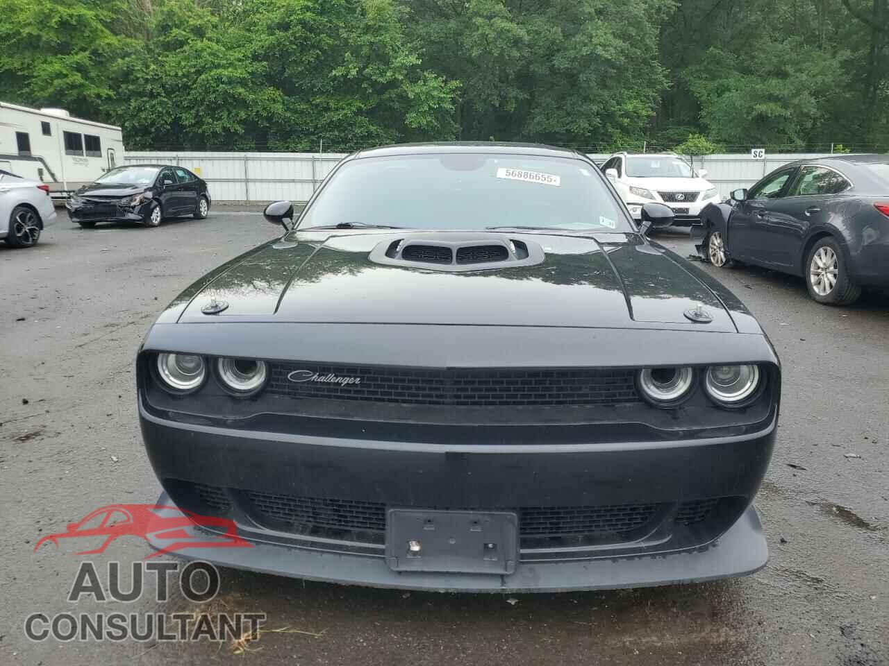 DODGE CHALLENGER 2021 - 2C3CDZFJ2MH680737