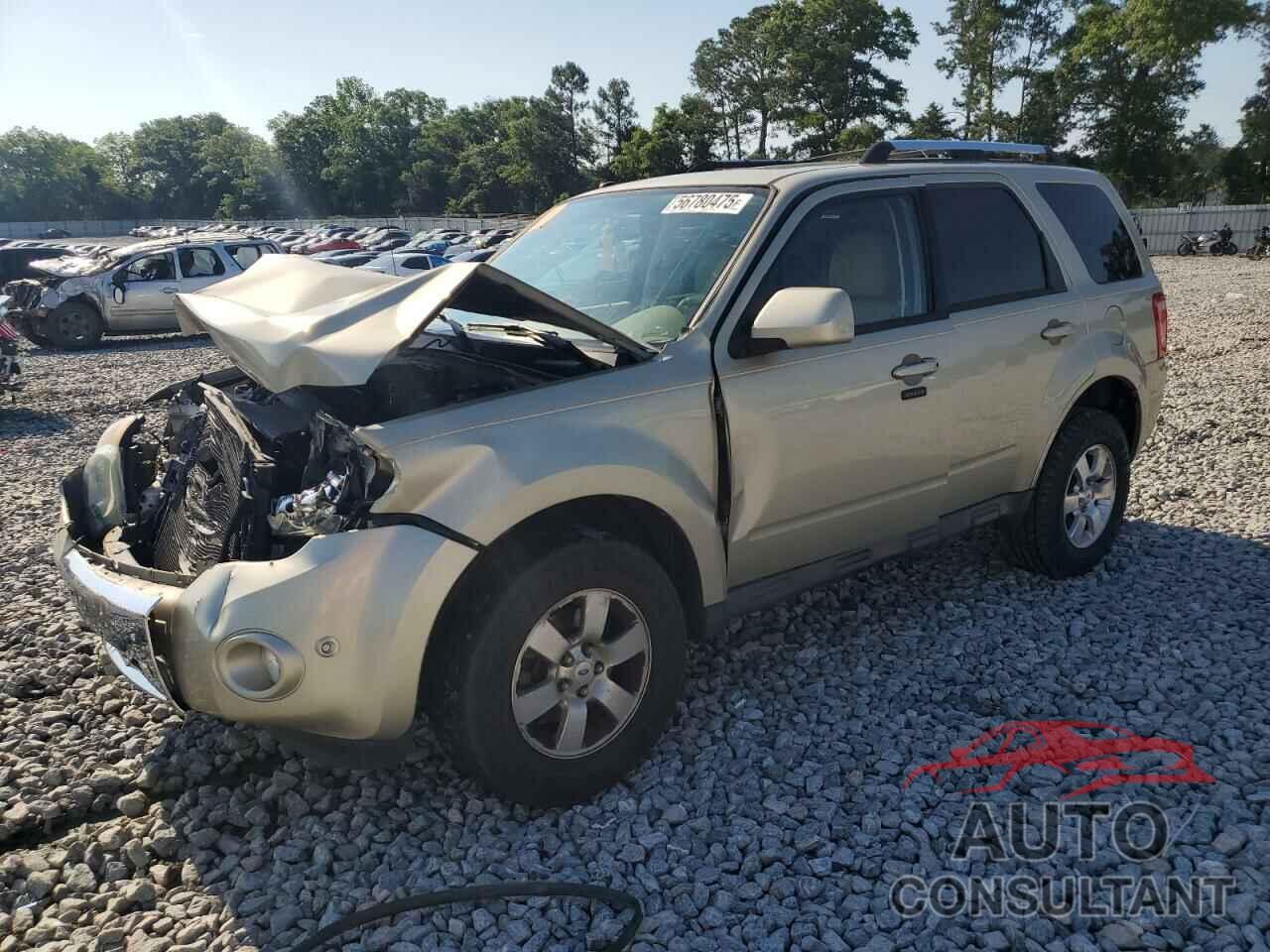 FORD ESCAPE 2010 - 1FMCU9EGXAKD37028