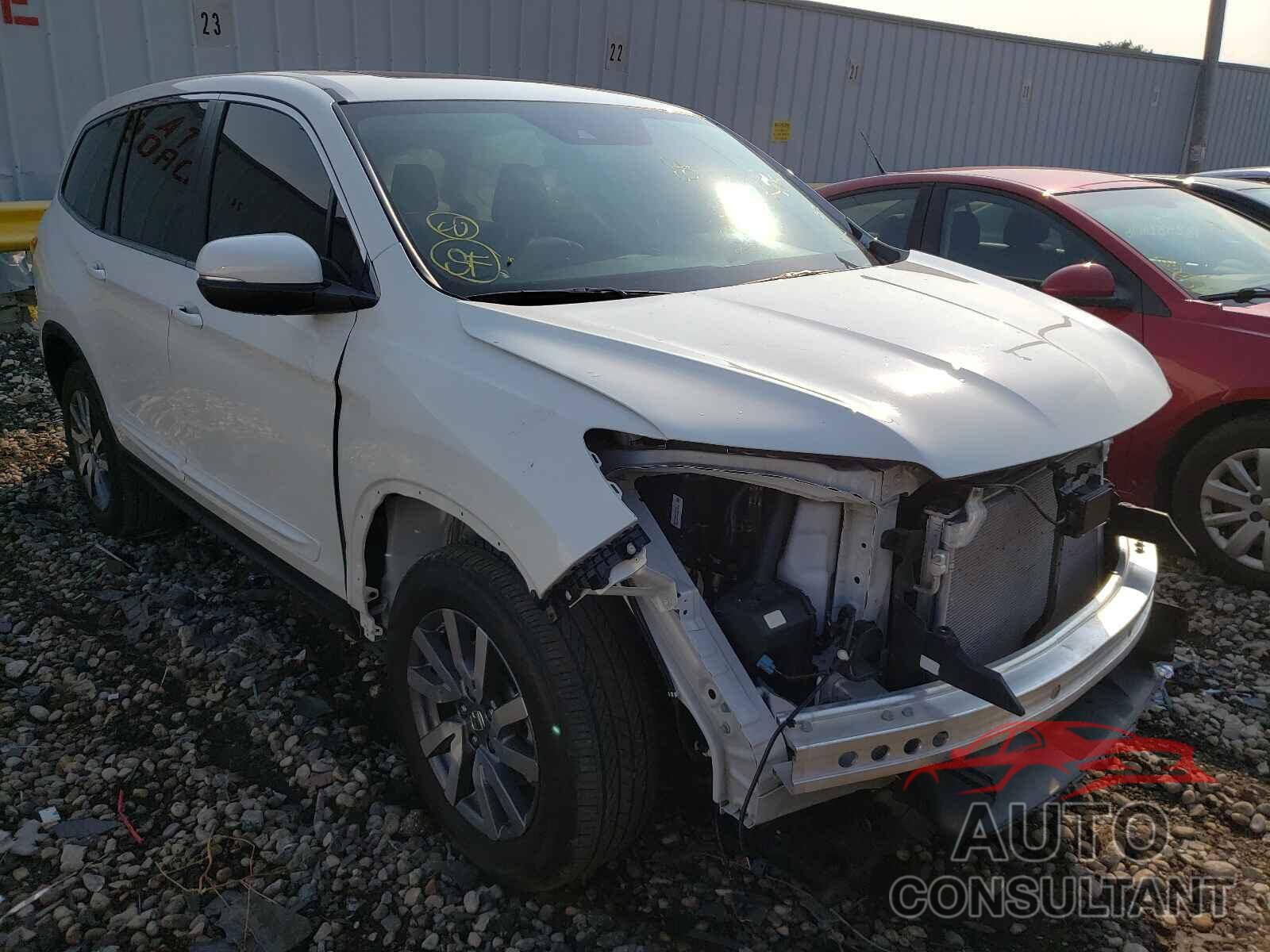 HONDA PILOT 2019 - 5FNYF6H59KB083422