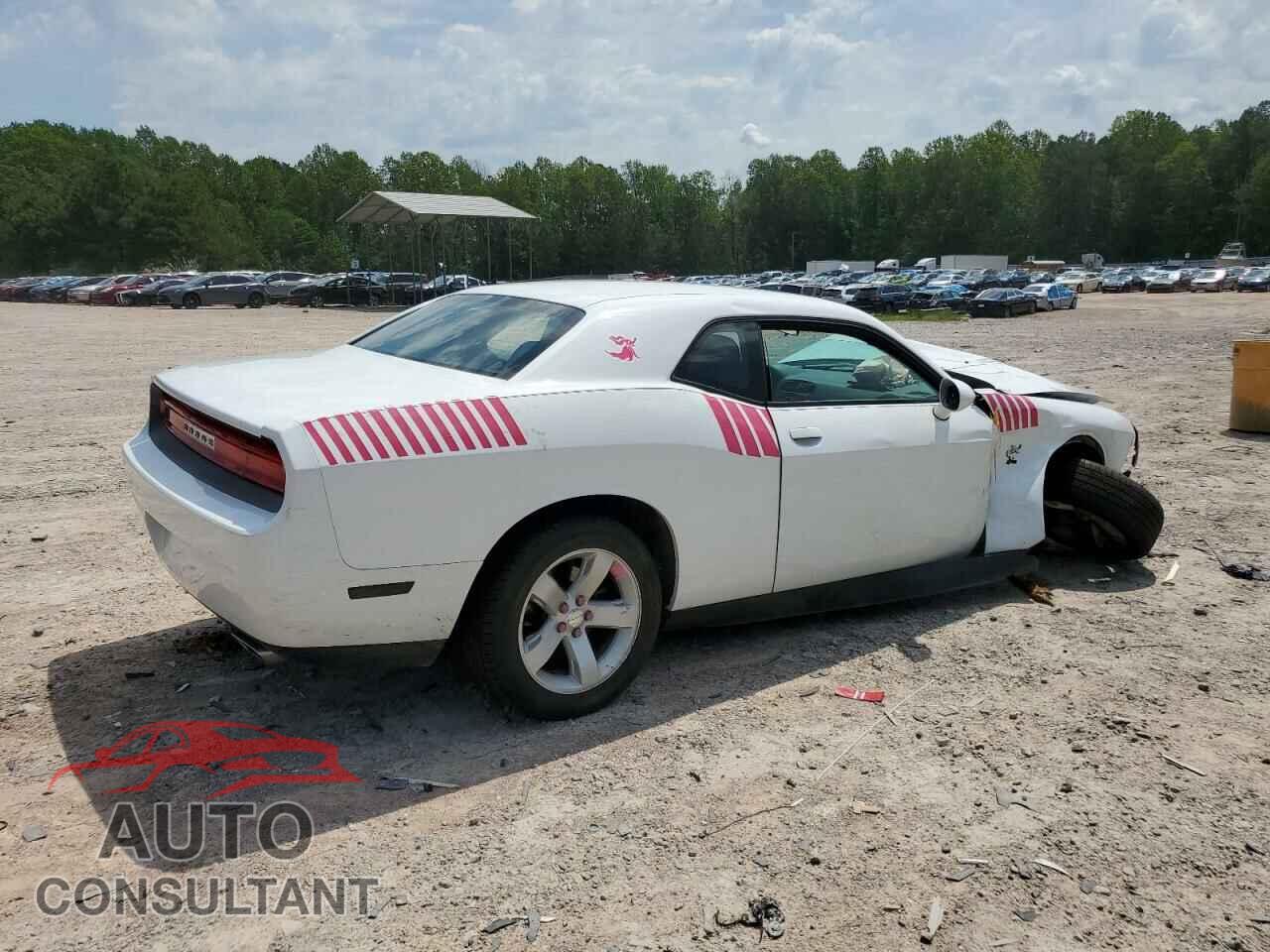 DODGE CHALLENGER 2013 - 2C3CDYAG2DH628000