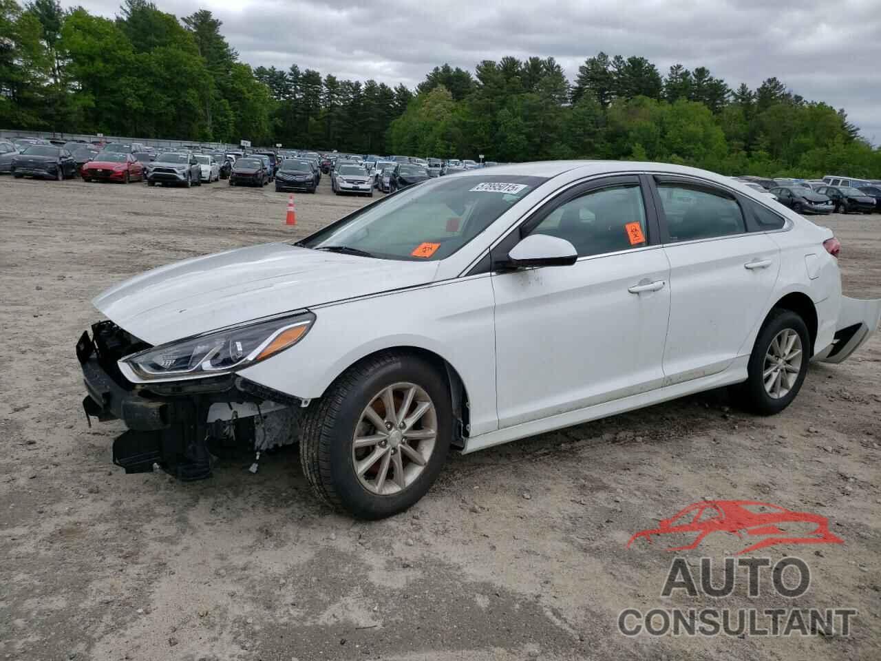HYUNDAI SONATA 2019 - 5NPE24AF9KH785974