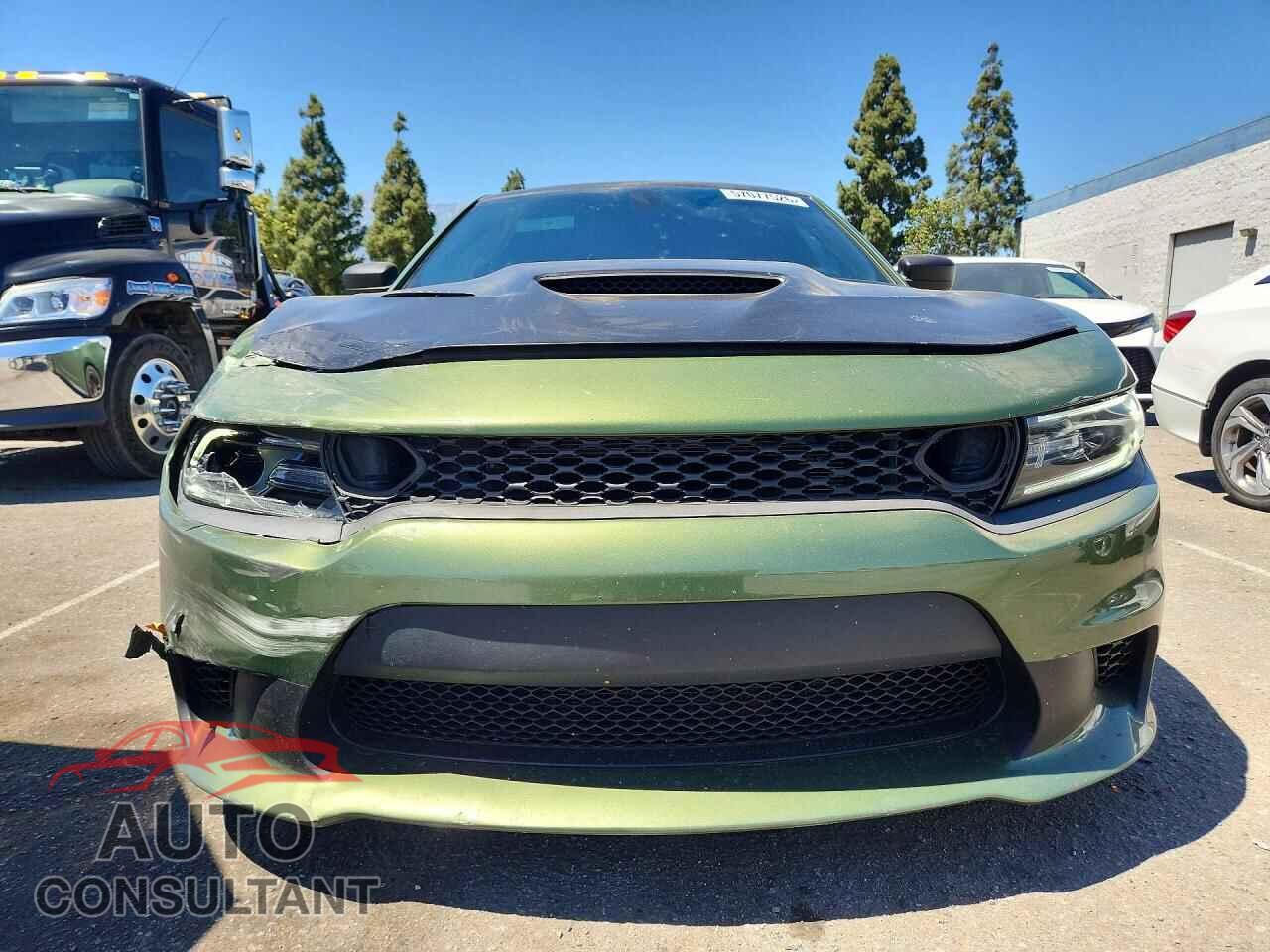 DODGE CHARGER 2019 - 2C3CDXL91KH529531