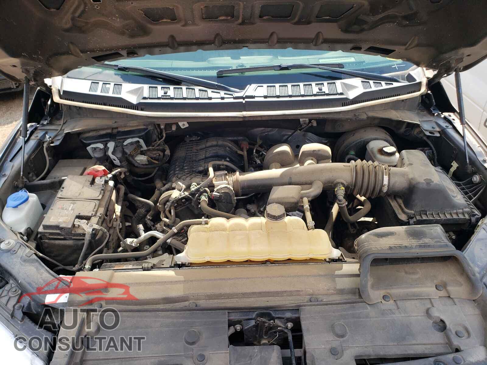 FORD F150 2019 - 1FTMF1CBXKKD52013