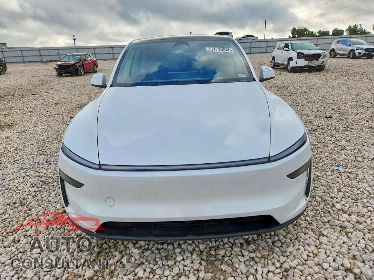 TESLA MODEL Y 2026 - 7SAYGDEDXTA491443