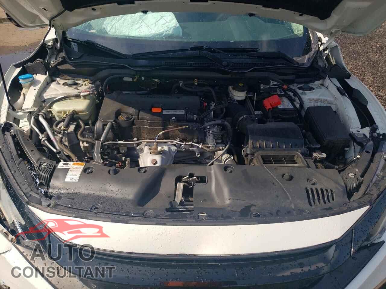 HONDA CIVIC 2019 - 2HGFC2F63KH516054