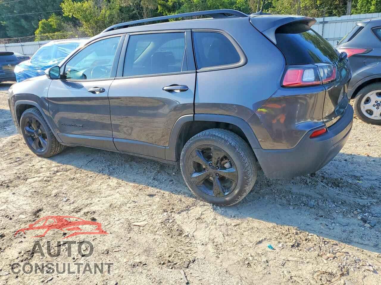 JEEP CHEROKEE 2019 - 1C4PJLLB3KD454099