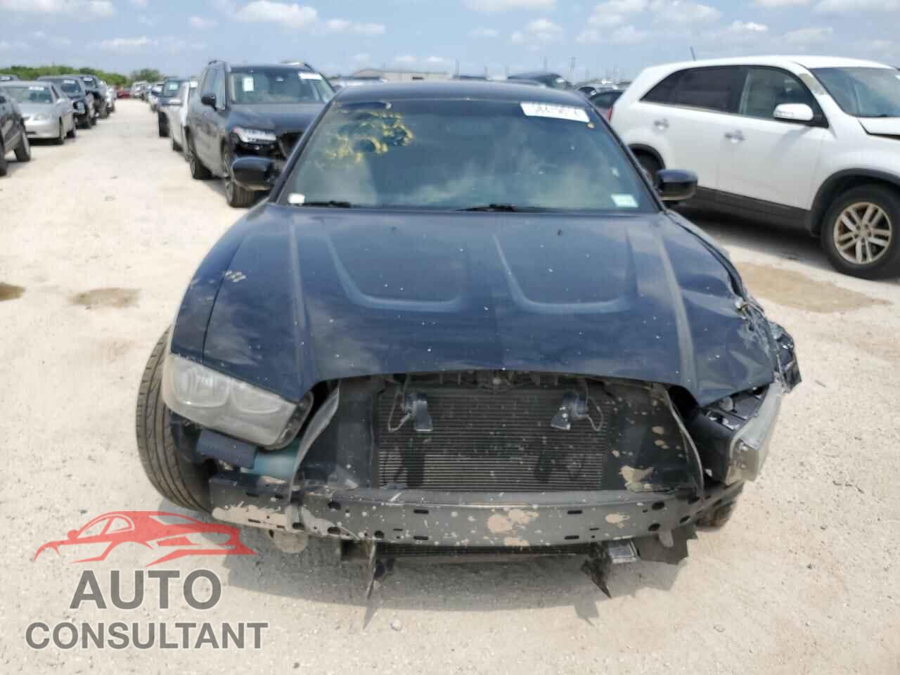 DODGE CHARGER 2013 - 2C3CDXHG2DH571460