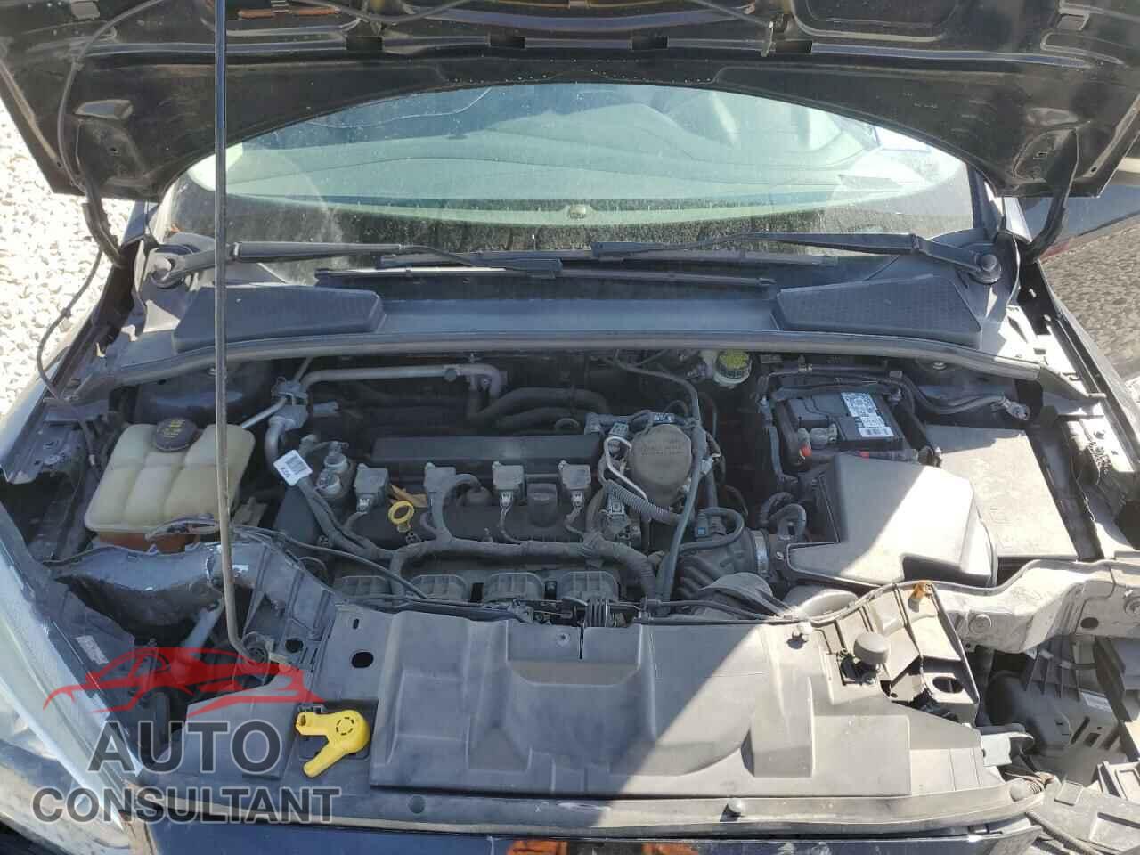 FORD FOCUS 2016 - 1FADP3K26GL270989