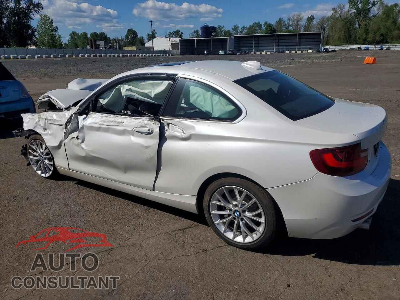 BMW 2 SERIES 2014 - WBA1F5C52EV255411