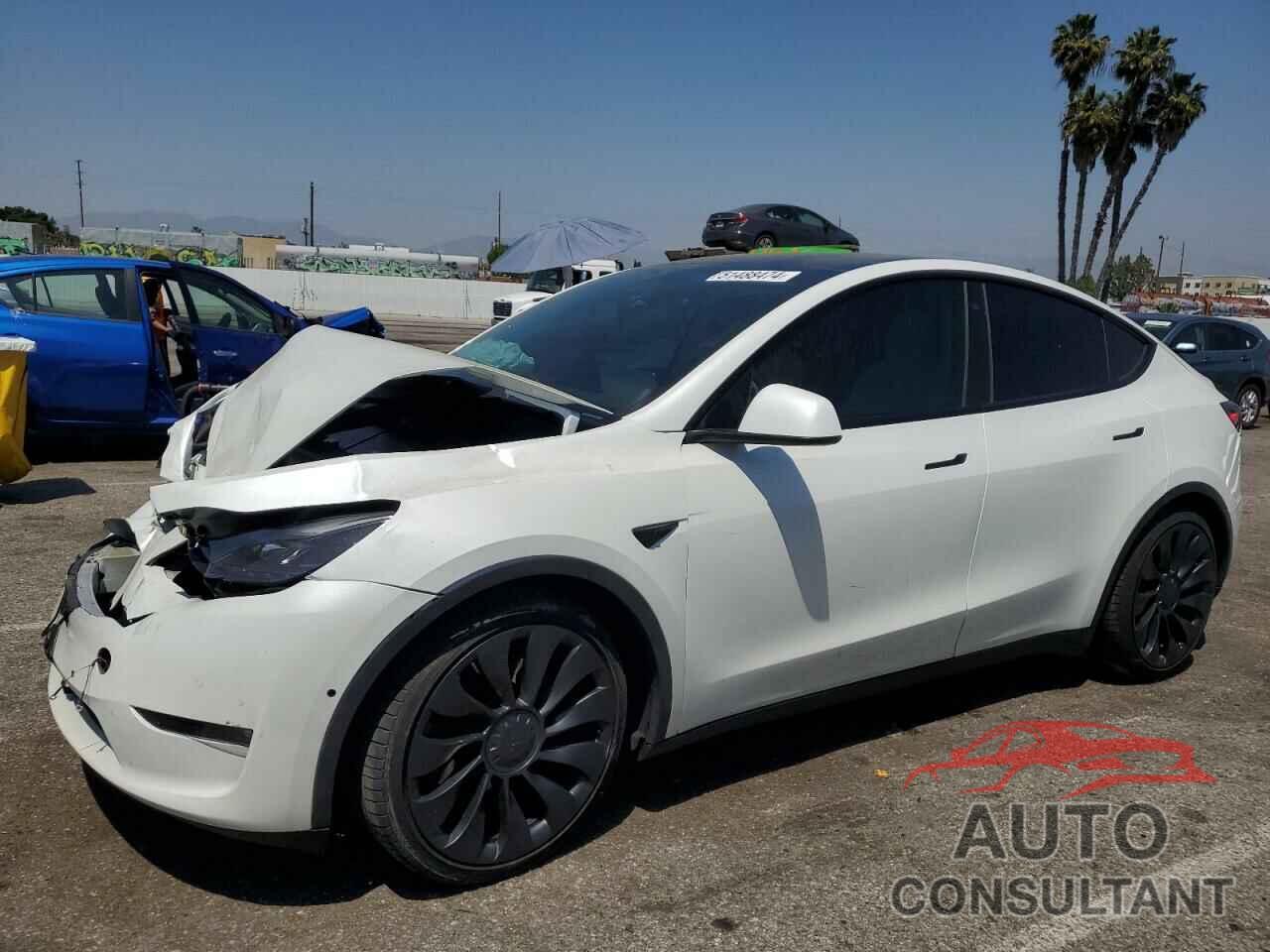 TESLA MODEL Y 2022 - 7SAYGDEF2NF488253