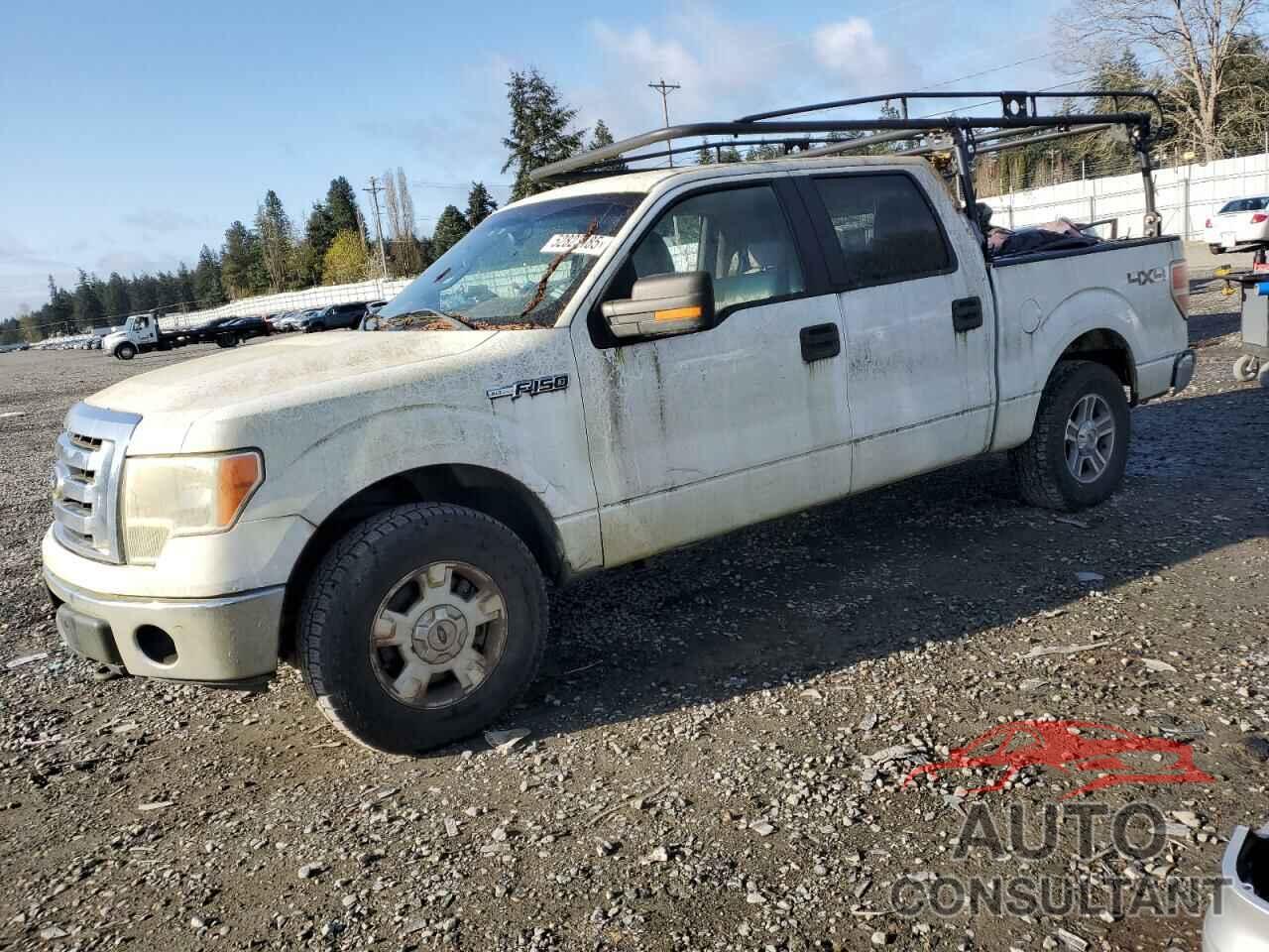 FORD F-150 2010 - 1FTFW1EV6AFD05682