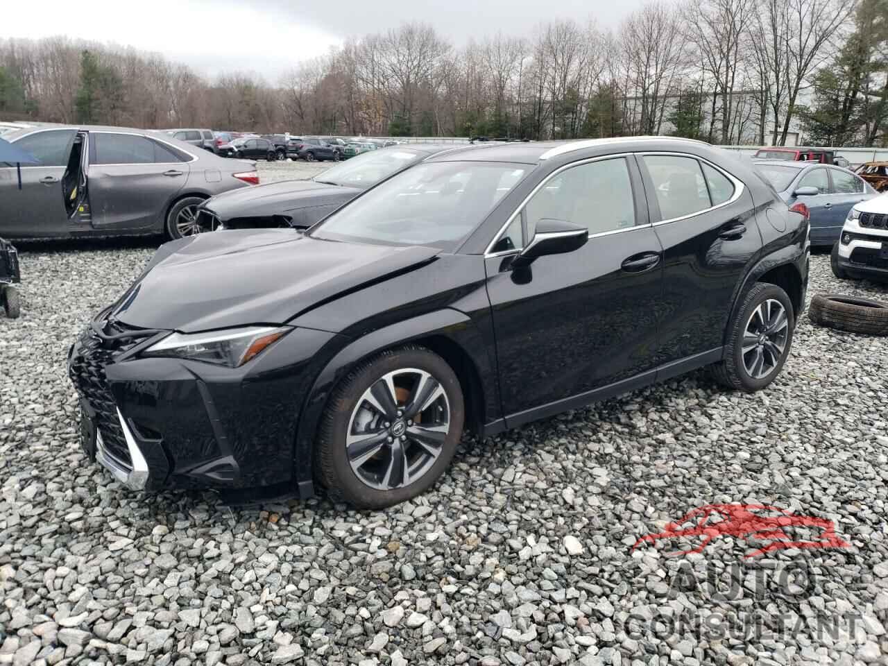 LEXUS UX 250H PR 2024 - JTHP9JBH8R2079141