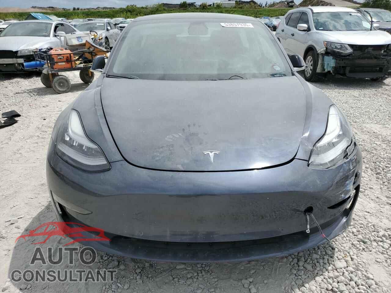 TESLA MODEL 3 2019 - 5YJ3E1EA4KF434741