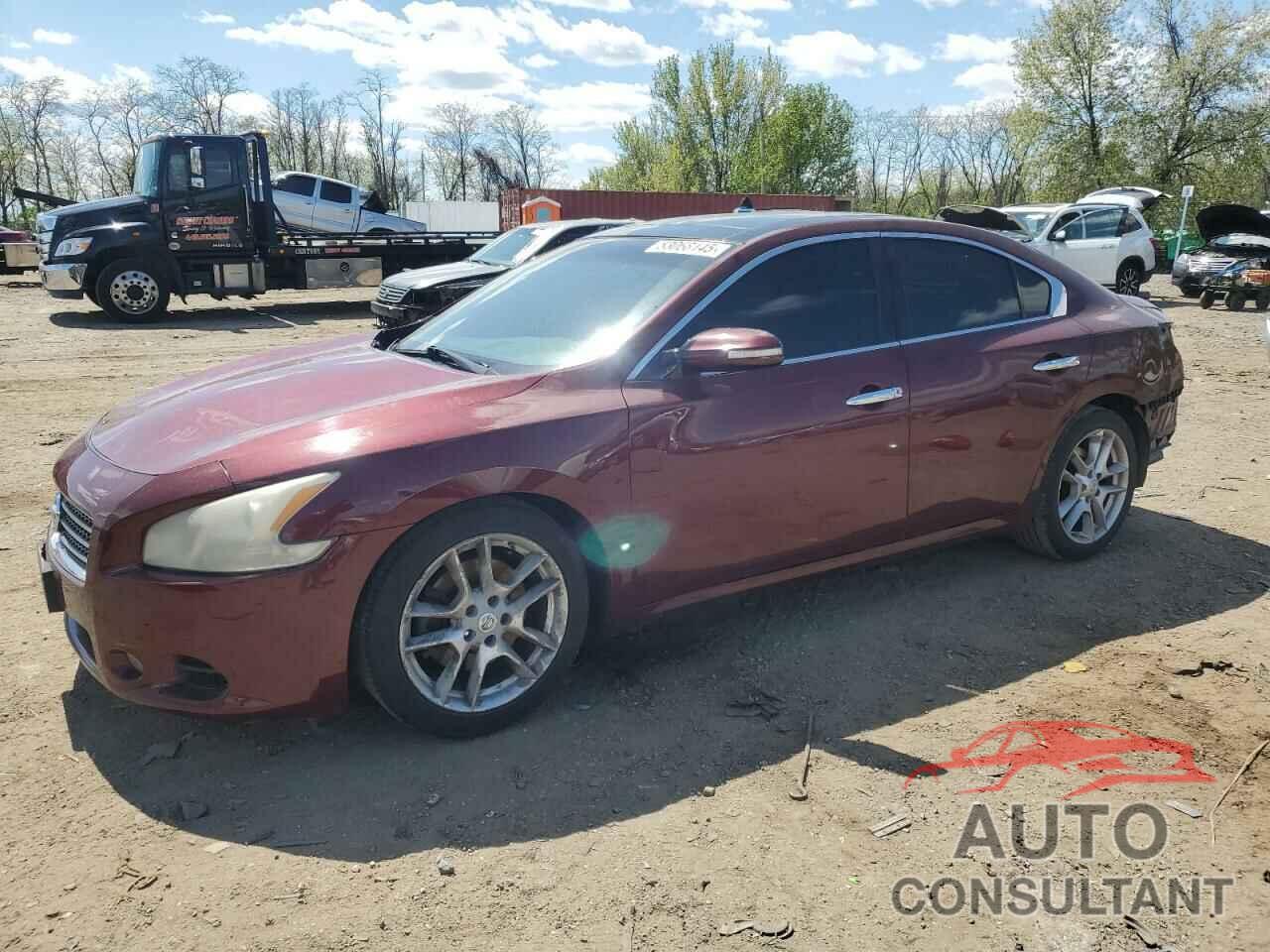 NISSAN MAXIMA 2011 - 1N4AA5AP2BC830190